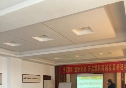 公司聘請金藍盟項目組進行咨詢和培訓(xùn)